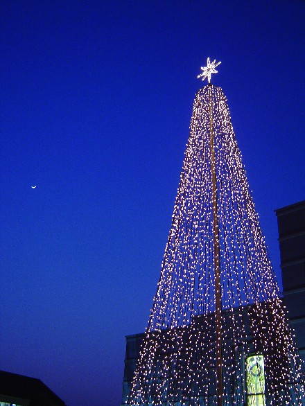 Cresent Moon and Light Tree